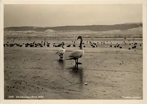 Zürich - Seegefrörne 1929 -639624