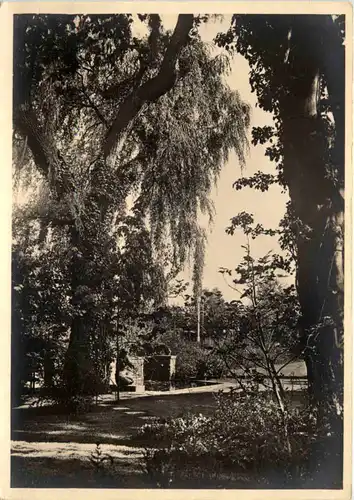 Zürich - ZÜGA - Gartenbau Ausstellung -639320