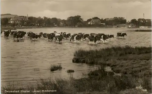 Seebad Kloster, Insel Hiddensee -531960