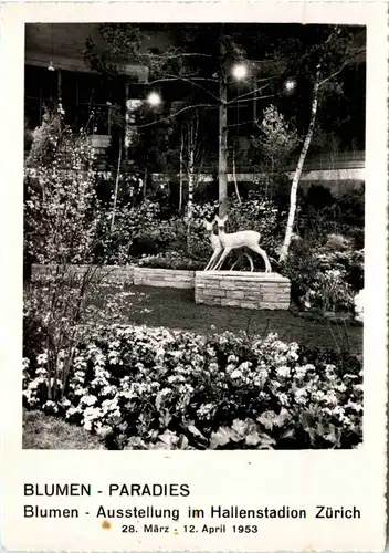 Zürich - Blumen Ausstellung im Hallenstadion 1953 -638910