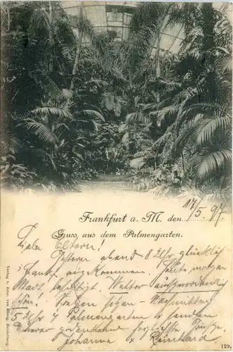 Frankfurt, Gruss aus dem Palmengarten -504154