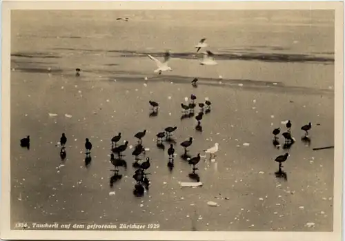 Zürich - Seegefrörne 1929 -639510