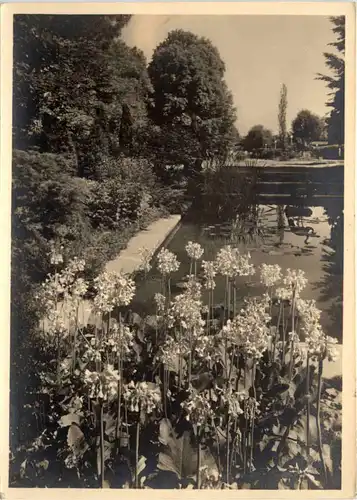 Zürich - ZÜGA - Gartenbau Ausstellung -639322