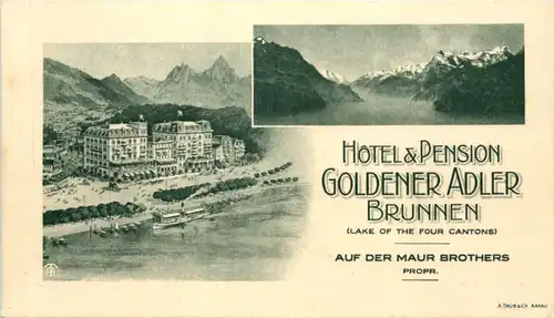 Brunnen - Hotel Goldener Adler -639778