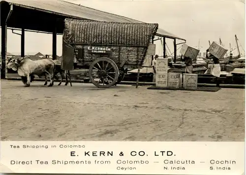 Tea Shipping in Colombo - E. Kern & Co. Ltd -641154