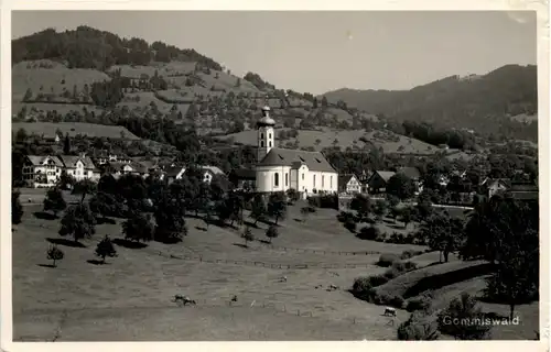 Gommiswald -639676