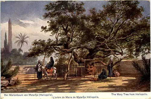 The Mary Tree from Helipolis -640818