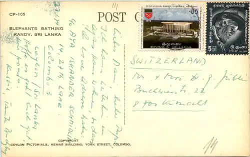 Sri Lanka - Elephants Bathing Kandy -641018