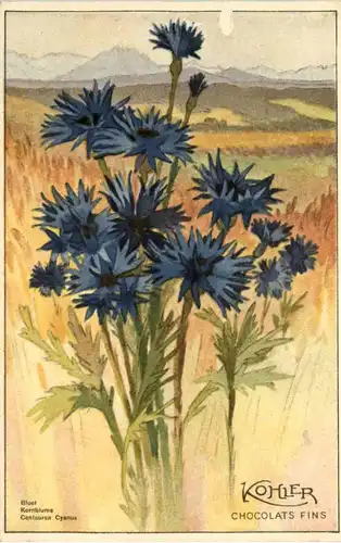 Werbung - Chocolats Kohler -642244