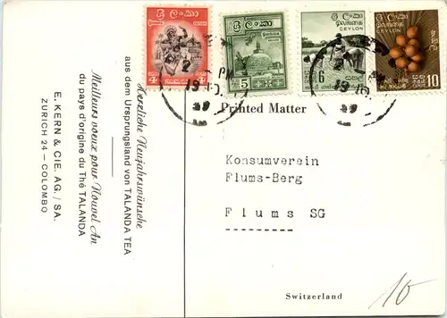 Ceylon - Elephants -641478