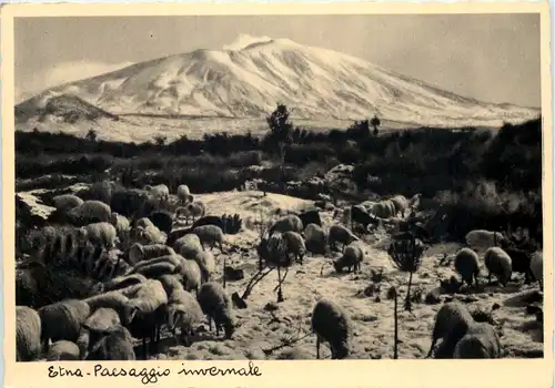 Etna - Paesaggio invernale -641470