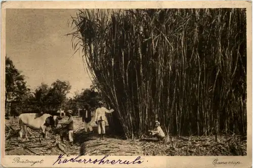 Soerabaja - Indonesia -641202