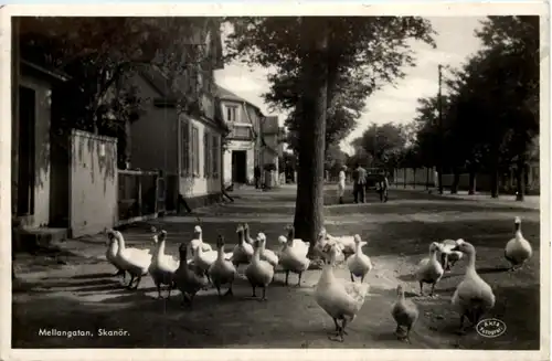 Mellangatan - Skanör- Sweden -641322