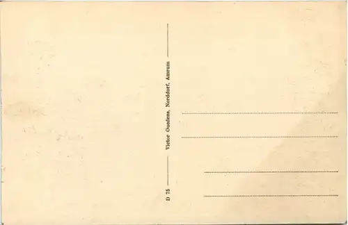 Norddorf-Amrum - Gefangene Spiessenten -643226