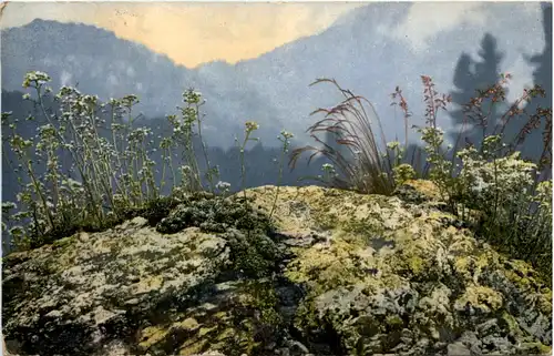 Feldpost 20. Inf Regiment -641656