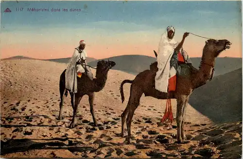 Meharistes dans les dunes - Algerie -641172