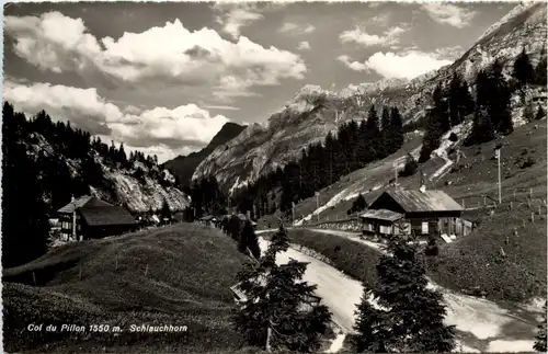 Col du Pillon, Schlauchhorn -507074