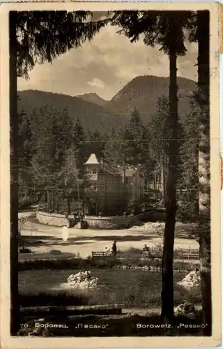 Borowetz - Pesako -642556
