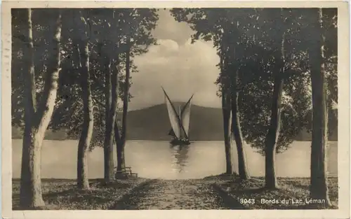 Bords du Lac leman -507454