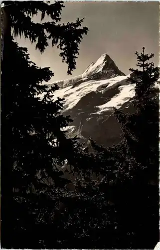 Grindelwald, Landschaft, Am Weg zum Faulhorn -507634