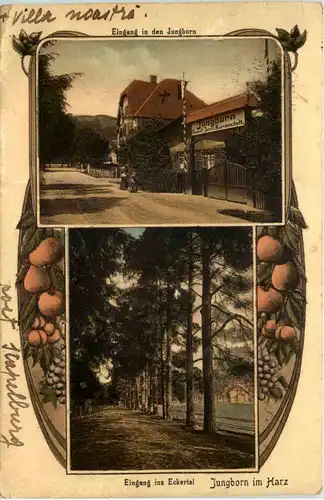 Jungborn im Harz -643108