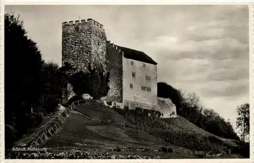 Schloss Habsburg -507854