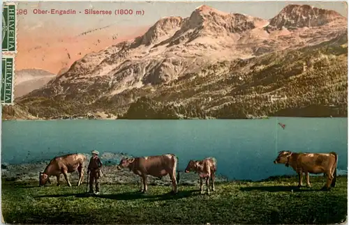 Ober-Engadin - Silsersee -605374