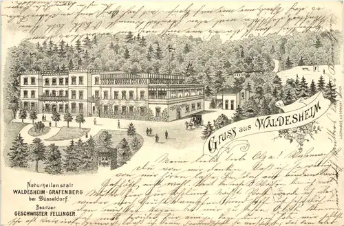 Gruss aus Waldesheim bei Düsseldorf - Litho vorläufer -622926