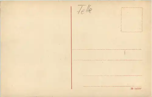 Bischofshaube Regenhütte und Umgebung - Künstler-AK Eugen Felle -605974