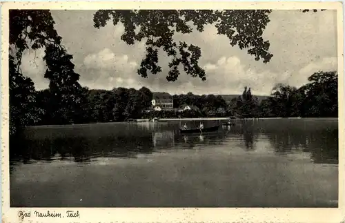 Bad Nauheim, Teich -511358