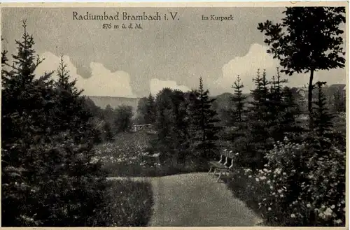 Brambach i. V. - Im Kurpark -626506