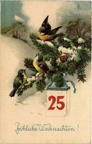 Weihnachten - Vögel -627926