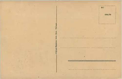 Tübingen, Schlossportal -518706