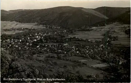 Bad Blankenburg, Blick von der Ruine Greifenstein -519546