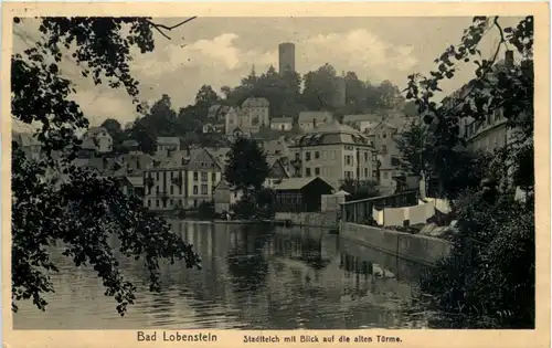 Lobenstein, Stadtteich mit Blick auf die alten Türme -520206