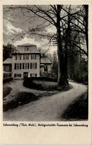 Schwarzburg i. Thür., Waldgaststätte Fasanerie -520286