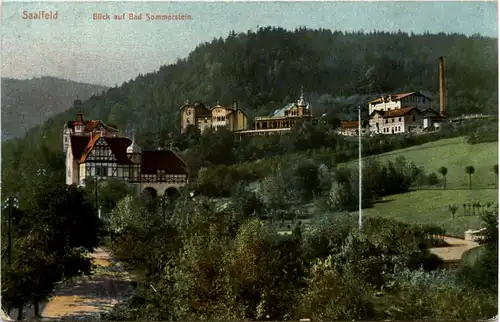Saalfeld, Blick auf Bad Sommerstein -520626