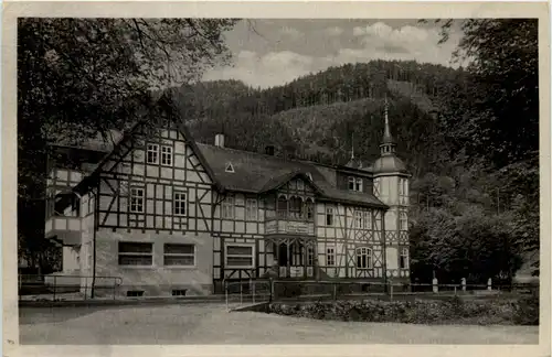 Sitzendorf, Thür. Wald, Gasthaus zum Eisenhammer -521046
