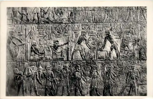 Egypt - Sakkara - Tomb of Ti -630676