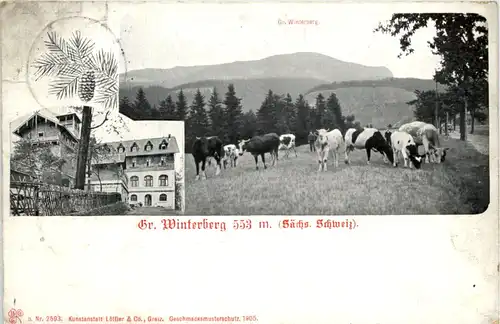 Grosser Winterberg - Posthilfsstelle -621088