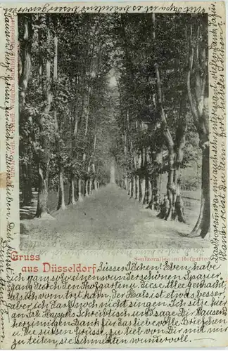 Gruss aus Düsseldorf - Seufzerallee im Hofgarten -622548