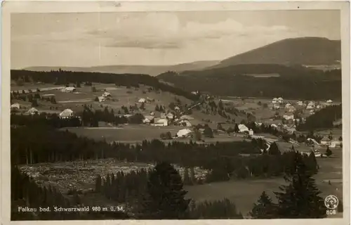 Falkau, Bad. Schwarzwald -521942