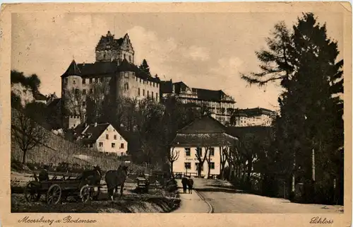 Meersburg, Schloss -522522