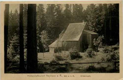 Kurort Neuhaus a. R., Wildschopfe -512880