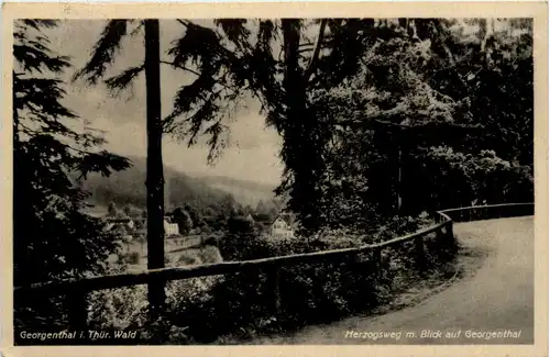 Bad Georgenthal, Herzogsweg m. Blick auf Georgenthal -517290