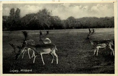 Leipzig, Wildpark -524080