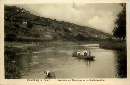 Naumburg a.d. Saale, Saalepartie mit Weinbergen an der Grosshenaerfähre -524300