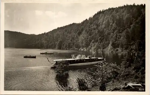 Am Stausee der Saaletalsperre, Heinrichstein -524480