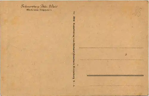 Schwarzburg, Blick vom Trippstein -524540