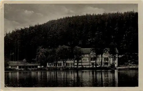 Georgenthal in Thüringen, Kurhaus Schützenhof am Hammerteich -518394